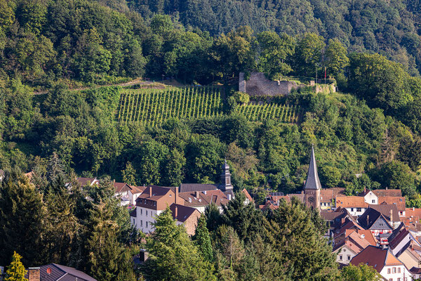 Blick über Wolfstein