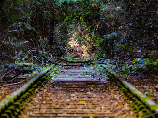 Impressionen von der alten Eistalbahn