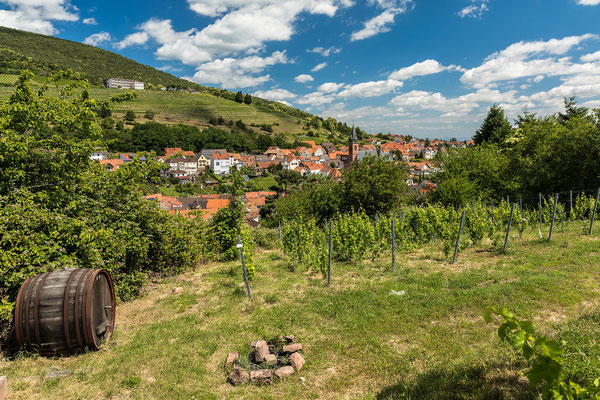 Ausblick auf Sankt Martin