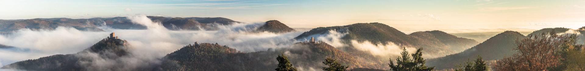 Burg Trifels im Nebel