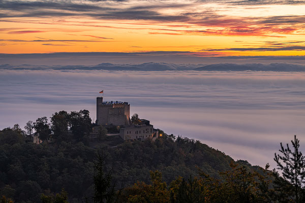 Nebliger Herbstmorgen über dem Hambacher Schloss