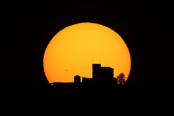 Sonnenuntergang hinter dem Trifels