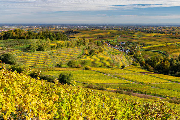 Herbstliche Ausblicke bei Birkweiler
