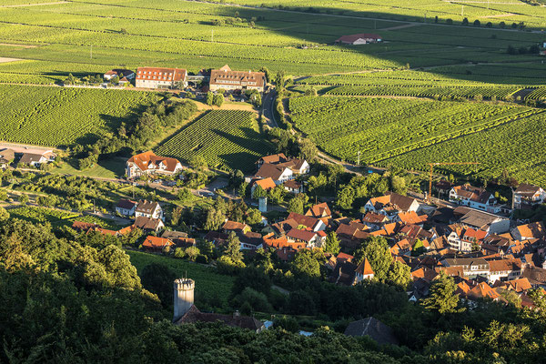 Leinsweiler, Slevogthof und Leinsweiler Hof