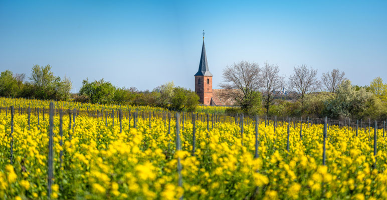 Frühlingstag in Forst