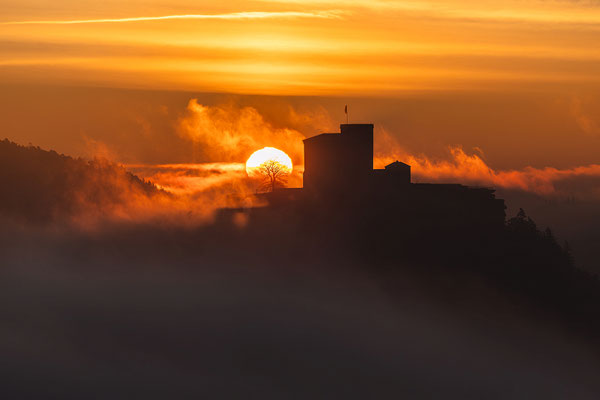 Kalter Nebelmorgen am Sommerfels