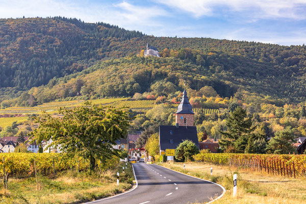 Blick auf Burrweiler