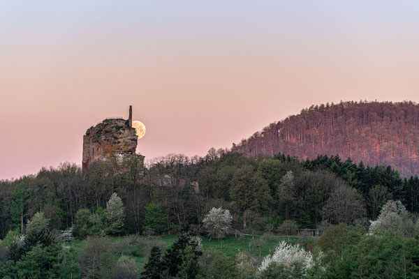 Vollmonduntergang hinter der Ruine Fleckenstein