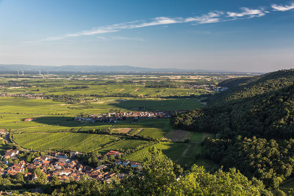 Blick nach Süden über Rheinebene und Schwarzwald