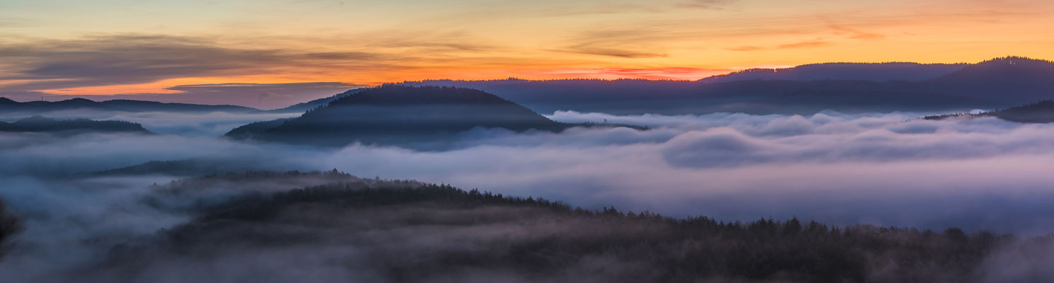 Morgennebel über dem Pfälzerwald