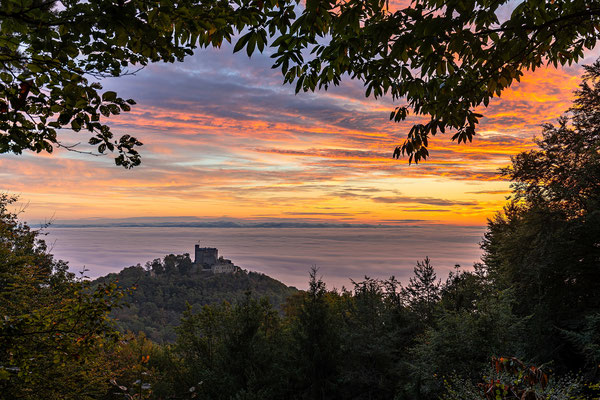 Nebliger Herbstmorgen über dem Hambacher Schloss