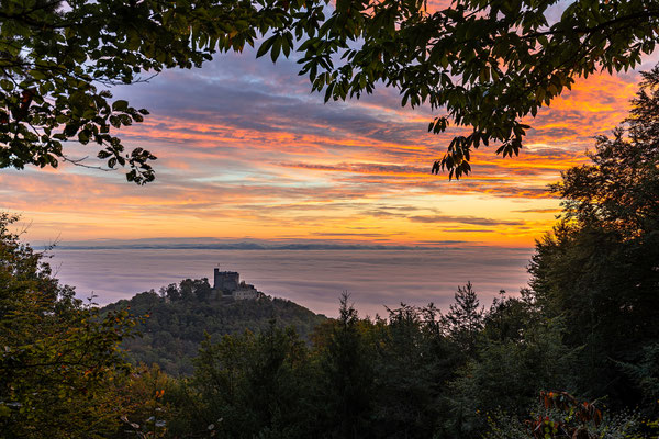 Nebliger Herbstmorgen über dem Hambacher Schloss