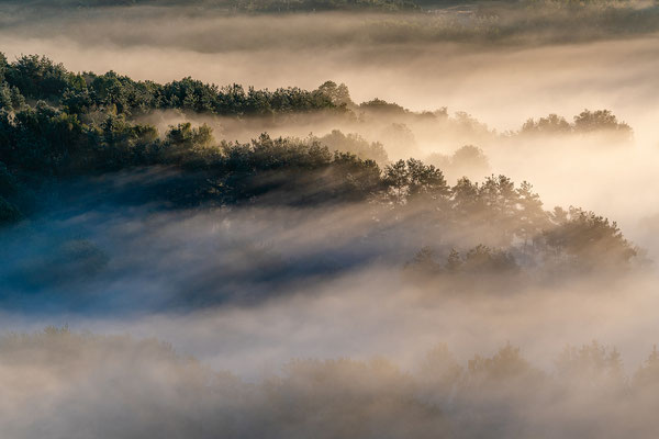 Nebelmorgen an den Geiersteinen