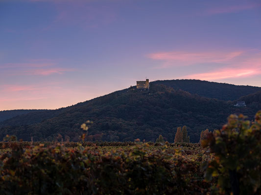Abendliche Blaue Stunde am Hambacher Schloss