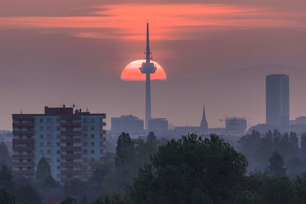 Sonnenaufgang hinter dem Mannheimer Fernsehturm