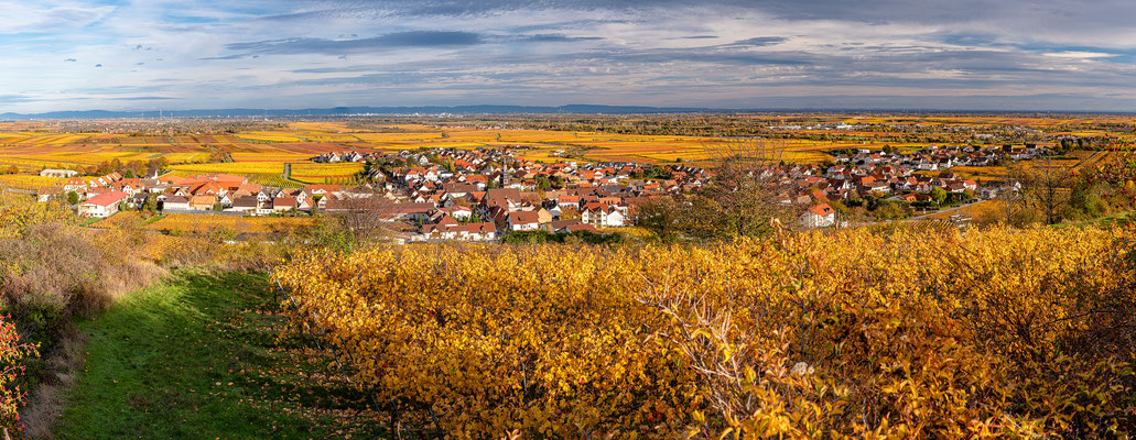 Kallstadt im Herbstkleid