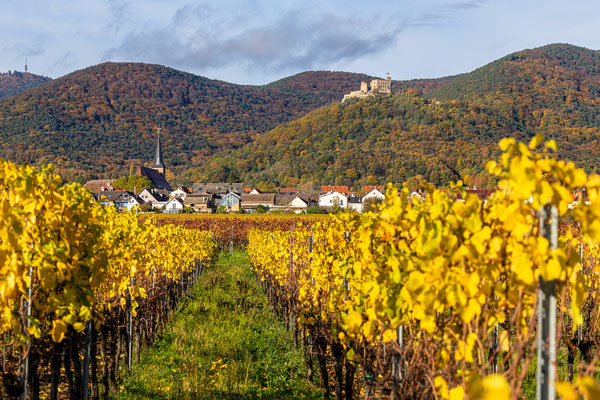 Herbstlicher Blick auf Diedesfeld