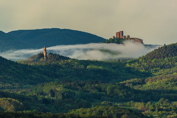 Burg Trifels und Asselstein, ca. 85 x 65 cm, goldener Holzrahmen mit Passepartout, verglast, 150 €
