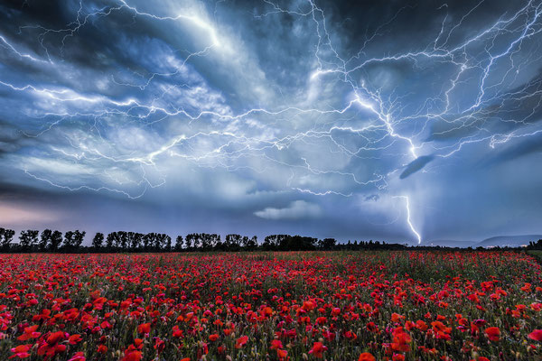 Nachtgewitter überm Mohnfeld, 100 x 75 cm, Forex, Rückseitige Hängung mit Aluminiumschiene, 200 €
