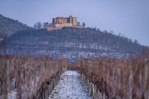 Eiskalter Morgen am Hambacher Schloss