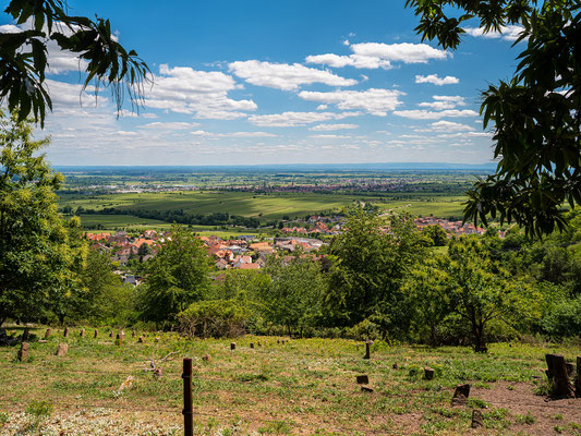 Aussicht auf Sankt Martin und die Rheinebene