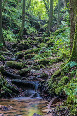 In der Margarethenschlucht