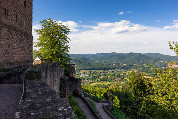 Blick vom Trifels