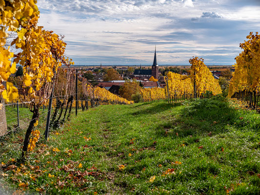 Herbststimmung in Deidesheim