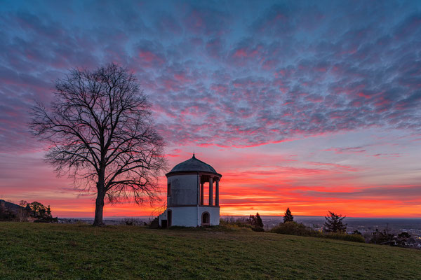Morgenhimmel über Neustadt