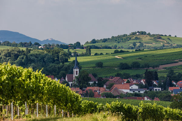 Blick über die Südpfalz, Aluminium-Wechselrahmen, Fotodruck auf hochwertigem Hahnemühle-Papier mit Passepartout, 70 x 50 cm, 130 €