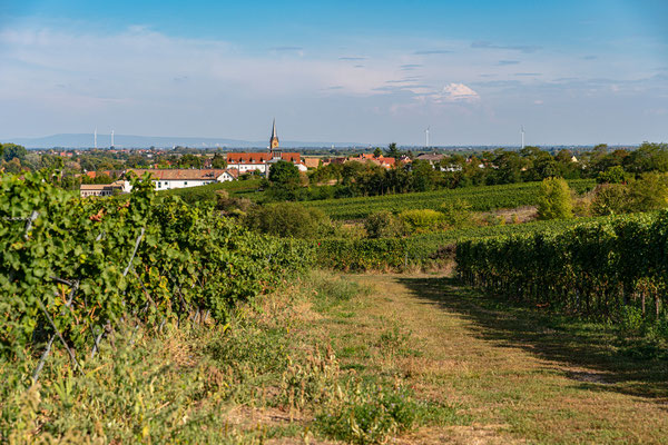 Blick auf Ruppertsberg
