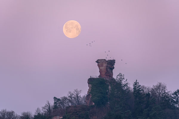 Vollmonduntergang hinter der Ruine Drachenfels