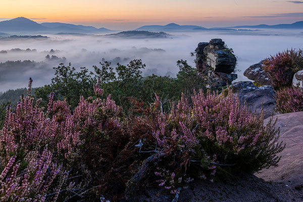 Nebelmorgen an den Geiersteinen