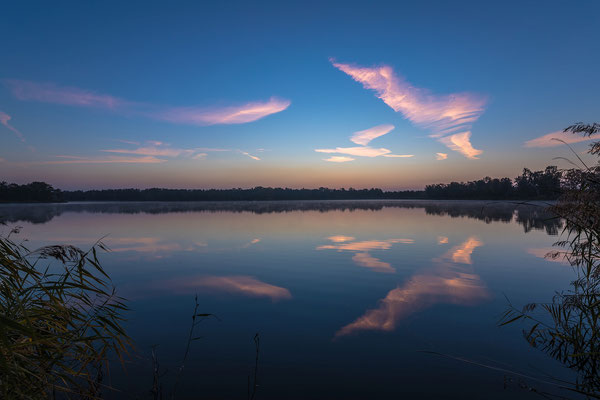 Morgendämmerung am Lambsheimer Weiher