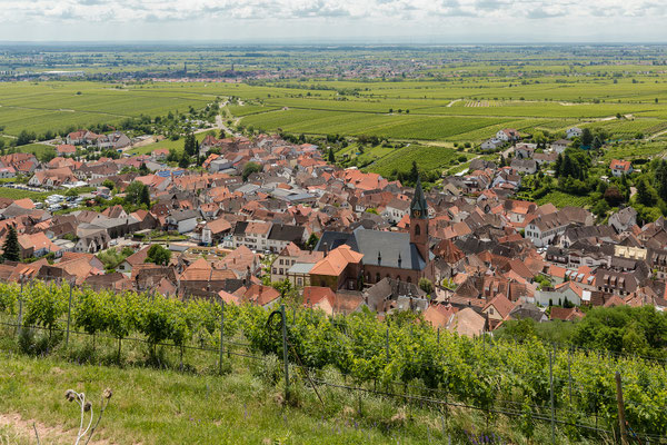 Ausblick auf Sankt Martin