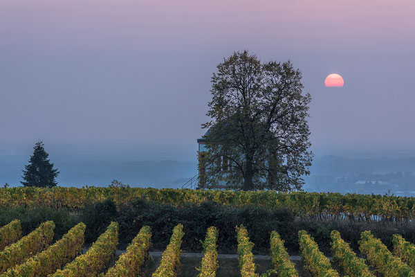 Sonnenaufgang am "Deidesheimer Tempel"