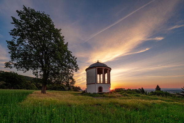 Sommermorgen über Neustadt