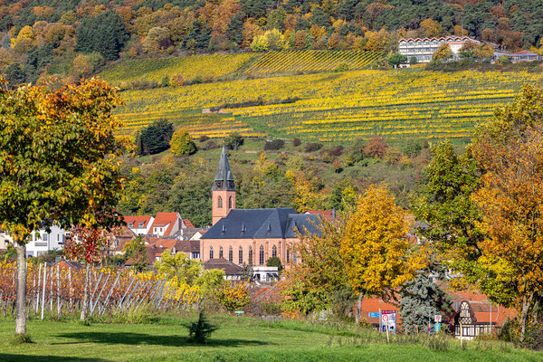 Herbststimmung um Sankt Martin
