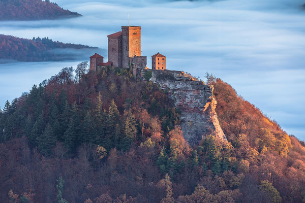 Burg Trifels über dem Herbstnebel