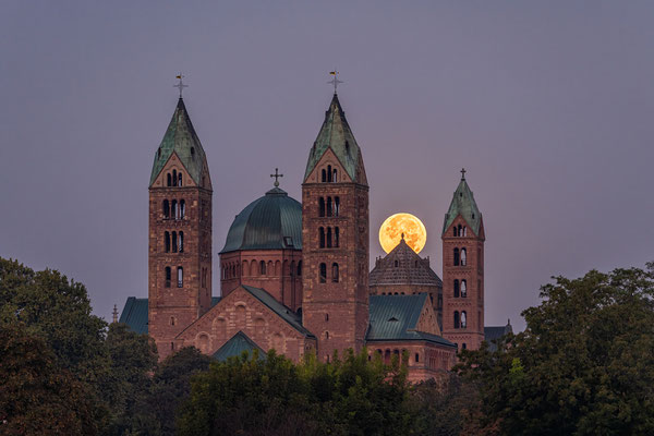 Vollmonduntergang hinter dem Speyerer Dom