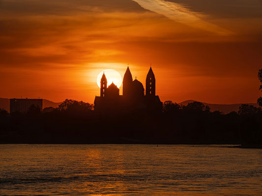Sonnenuntergang hinter dem Speyerer Dom