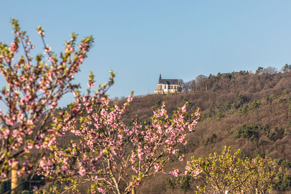 Frühling in Weyher