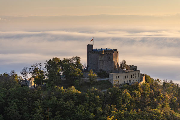 Zauberhafter Morgen am Hambacher Schloss