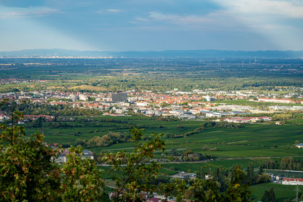 Blick auf Neustadt vom Hambacher Schloss