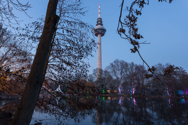 Luisenpark Mannheim in der Nacht