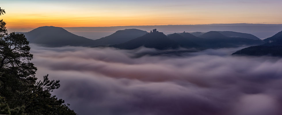 Herbstnebel am Sommerfels