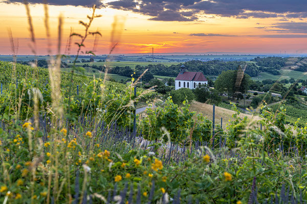 Sonnenaufgang bei Gleiszellen