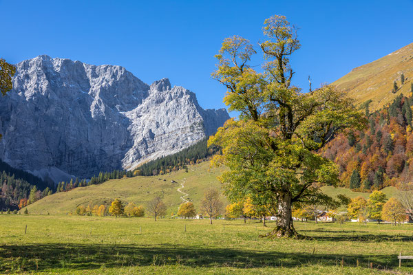 Herbststimmung am Ahornboden