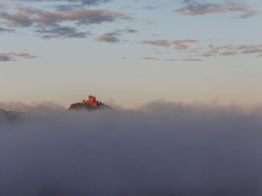 Burg Trifels im ersten Tageslicht
