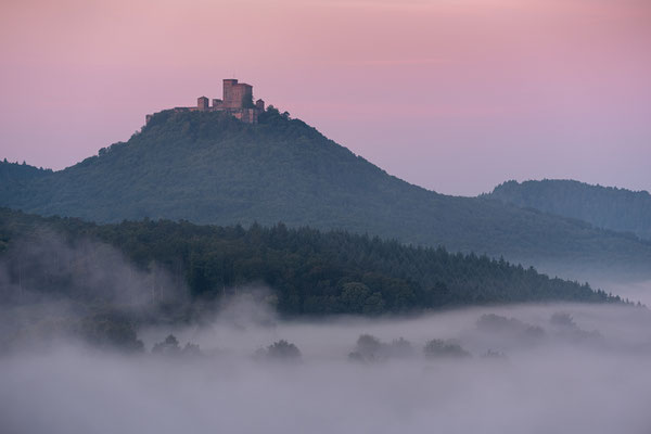 Blick zum Trifels an einem Nebelmorgen